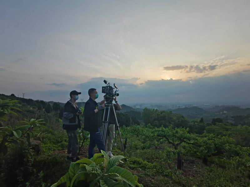 创意破圈！宁安市电商产品宣传视频用故事化叙事引爆流量
