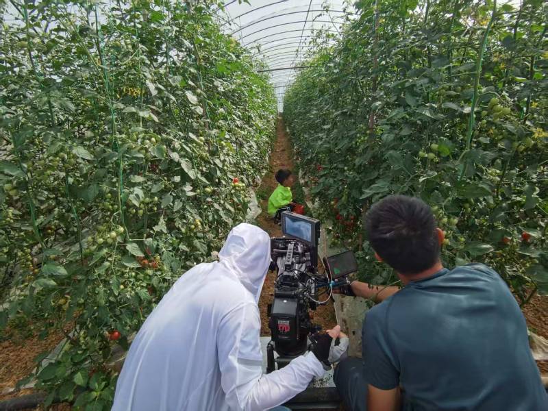 宁安市产品宣传视频拍摄公司进阶指南，助力品牌抢占传播高地